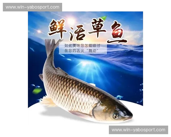 舌尖上的“不方便”与“鳄”鱼的奇幻漂流